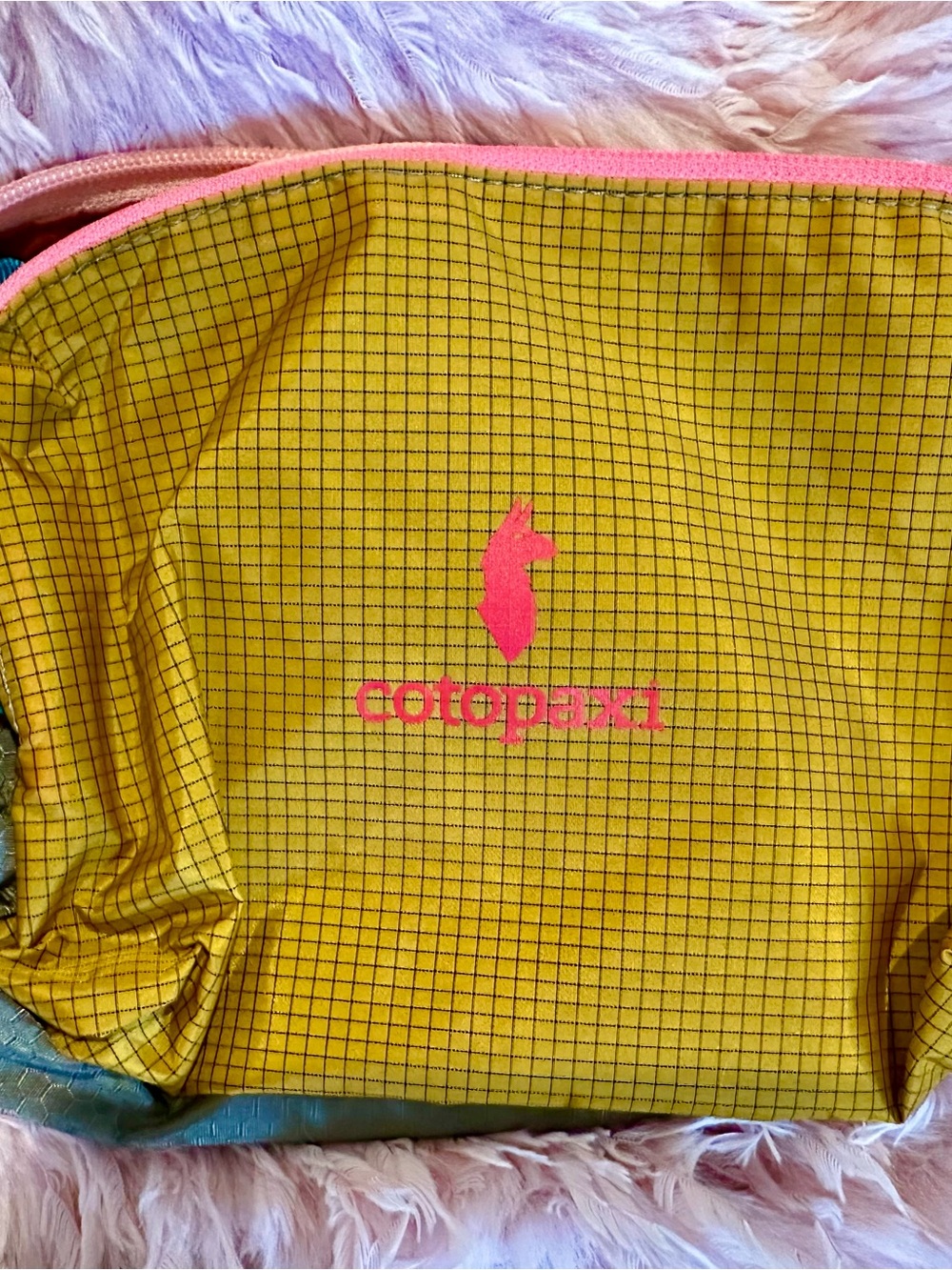 Cotopaxi Essentials Bag